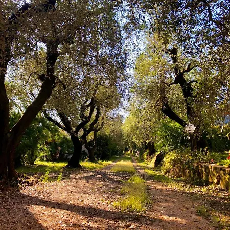 Farm stay Montefabbrello Magazzini (Tuscany)