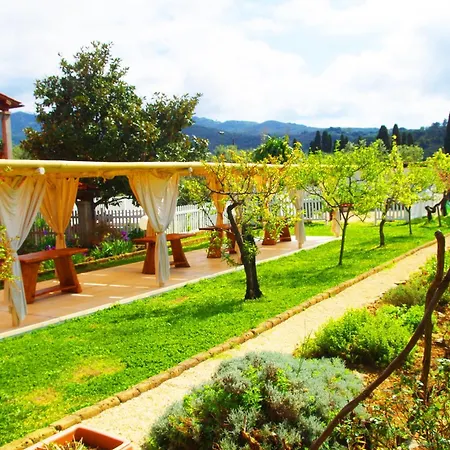 Farm stay Montefabbrello *