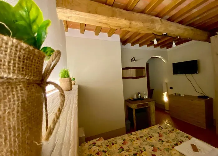 Farm stay Montefabbrello *