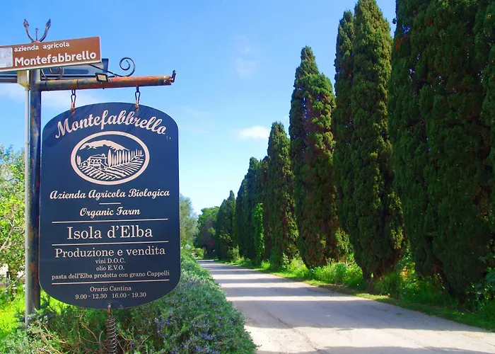 Montefabbrello Farm stay *