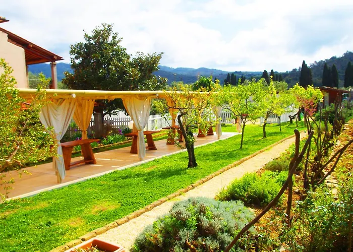 Farm stay Montefabbrello *