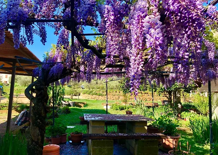 Montefabbrello * Magazzini (Tuscany)