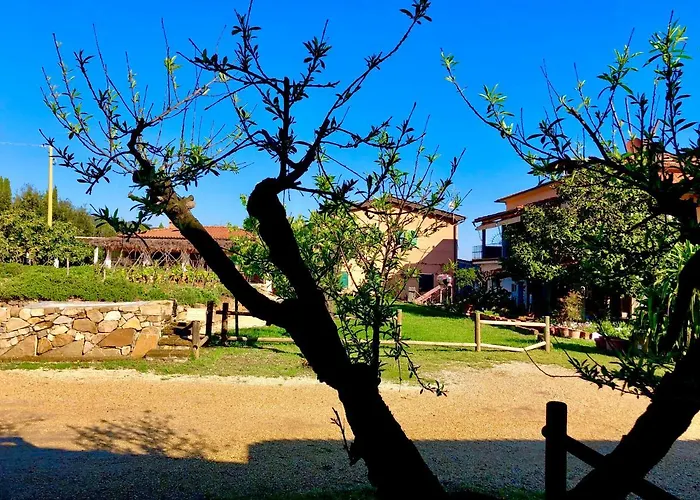 Montefabbrello Farma