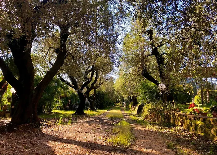 Farma Montefabbrello Magazzini (Tuscany)