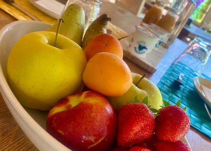 Farma Montefabbrello