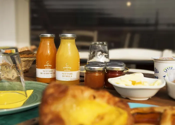 Farma Montefabbrello Magazzini (Tuscany)